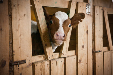 Similar image 816600