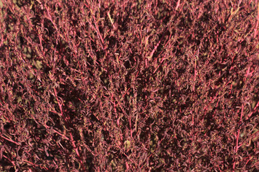 Similar image 816605