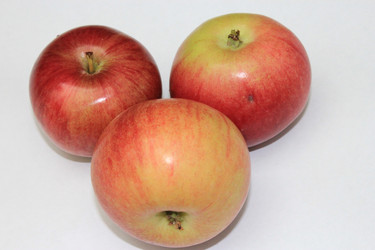 Similar image 816811