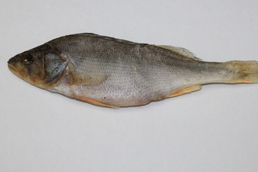 Similar image 816830