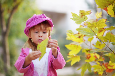 Similar image 816922