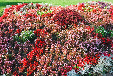 Similar image 816927