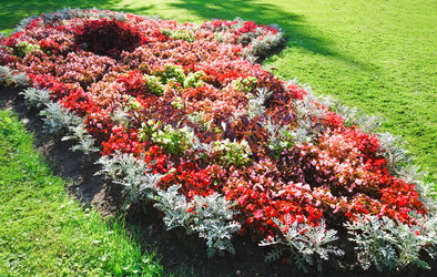 Similar image 816928