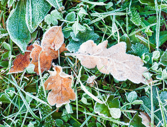 Similar image 816942