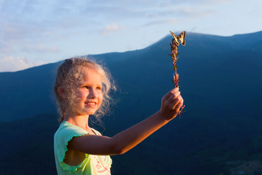 Similar image 817020