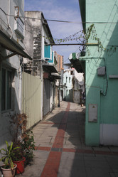 Similar image 817033