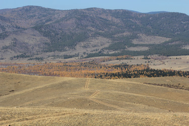 Similar image 817087