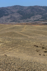 Similar image 817097