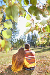 Similar image 817123