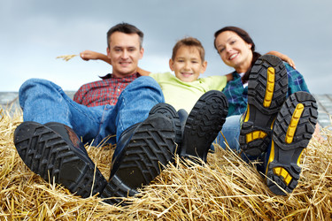 Similar image 817148