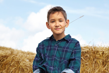 Similar image 817161