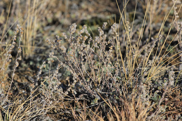 Similar image 817211