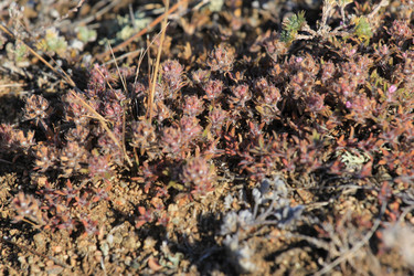 Similar image 817217