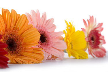 Similar image 817218