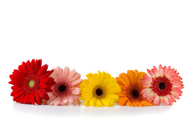 Similar image 817219