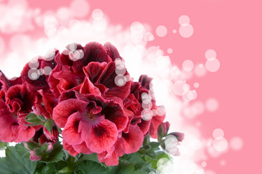 Similar image 817223