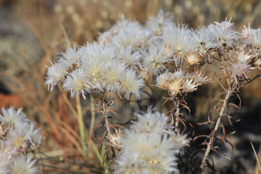 Similar image 817224