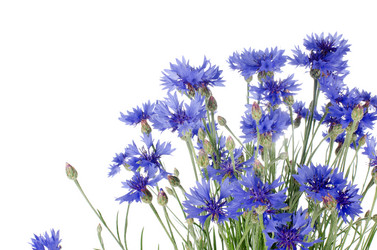 Similar image 817225