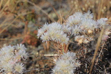 Similar image 817226