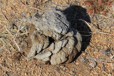 Similar image 817236