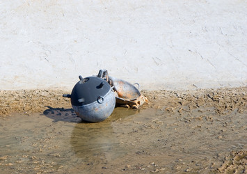 Similar image 817255