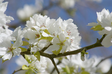 Similar image 817289