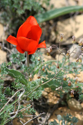 Similar image 817304