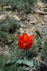 Similar image 817305