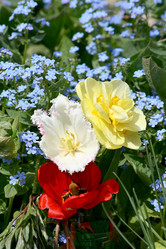 Similar image 817327