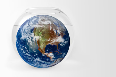 Similar image 817360