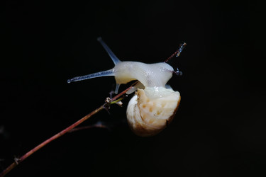 Similar image 817381