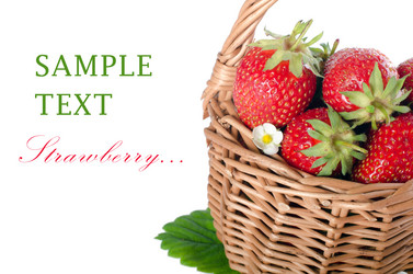 Similar image 817396