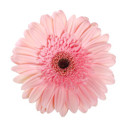 Similar image 817399