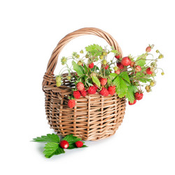 Similar image 817400