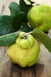 Similar image 817411