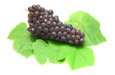 Similar image 817414