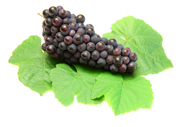 Similar image 817415