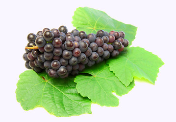 Similar image 817416