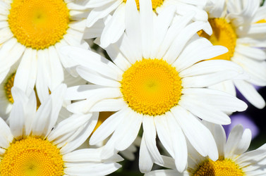 Similar image 817424