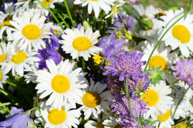 Similar image 817425