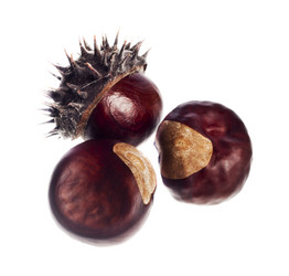 Similar image 817437