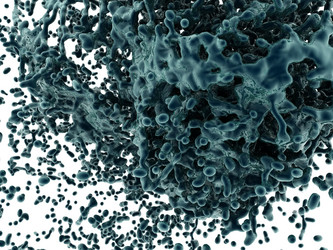 Similar image 817446