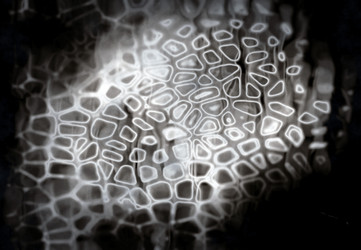 Similar image 817463