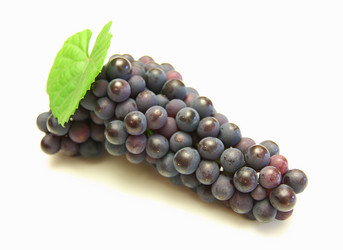 Similar image 817484