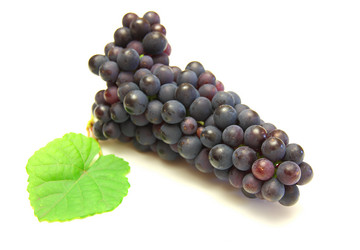 Similar image 817486