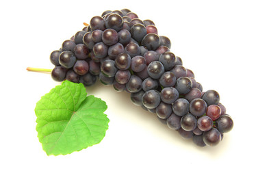 Similar image 817489