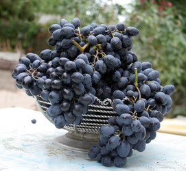 Similar image 817500