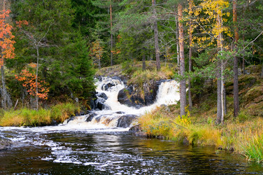 Similar image 817544