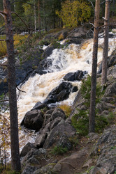 Similar image 817545