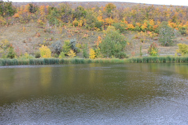 Similar image 817547